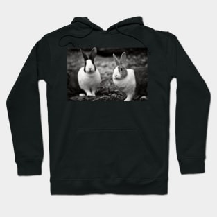 Bunny Buddies Hoodie